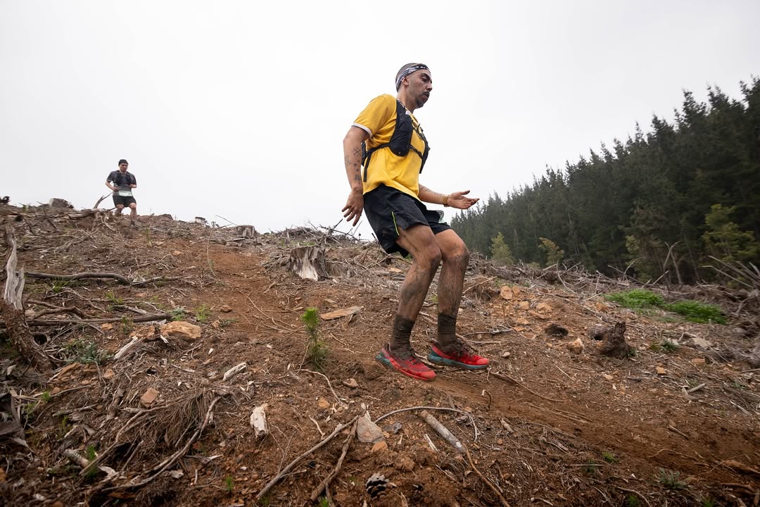 SaveClip.App 549653424 18421348240105322 4198428950205853141 N