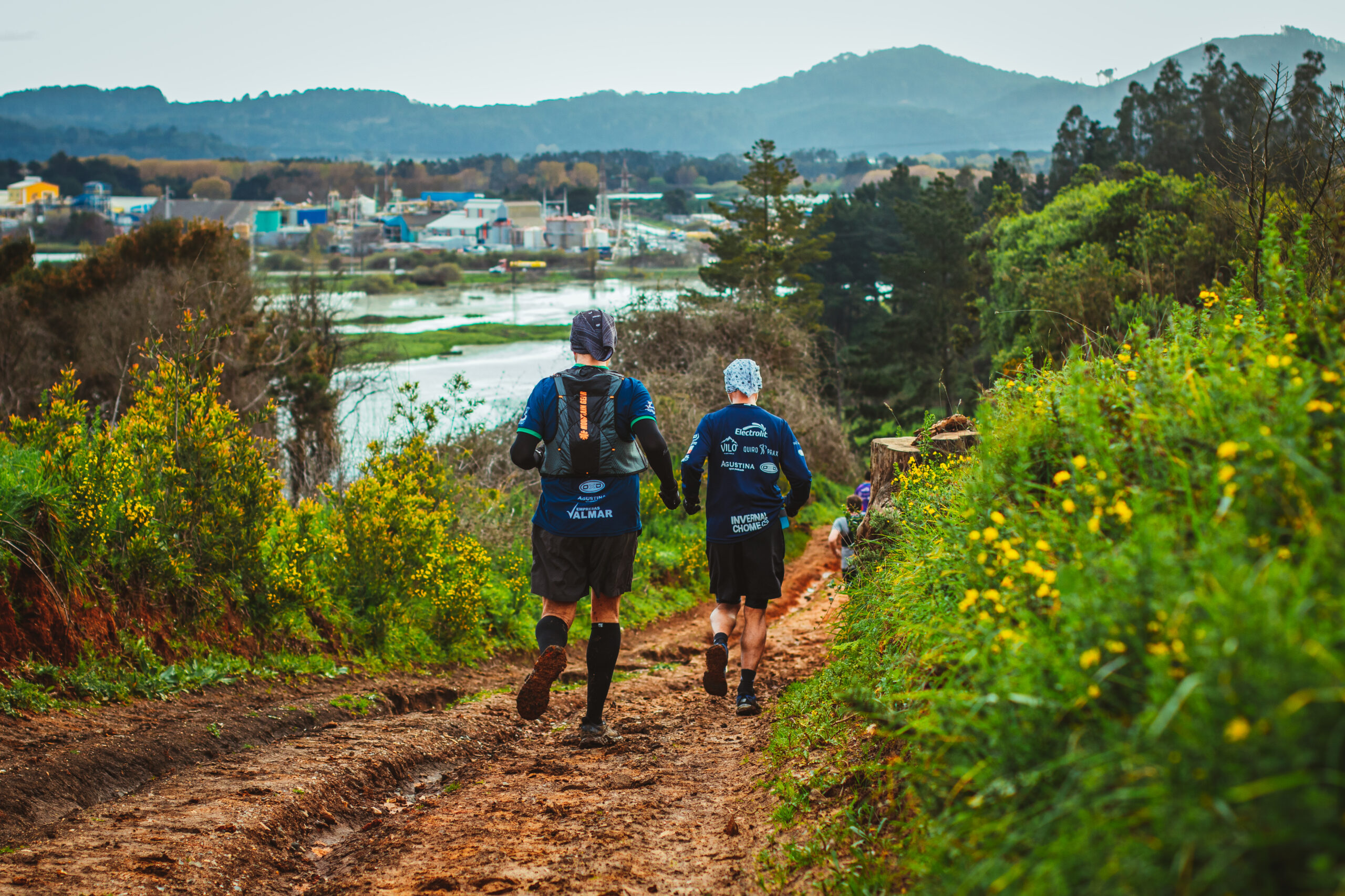 Etapa San Pedro de la Paz · Junquillar