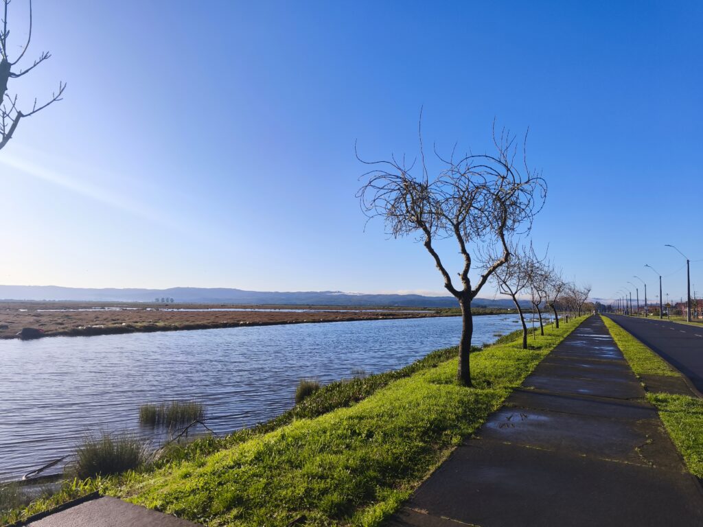 Imagen del recorrido CORRIDA CANAL IFARLE 2027 2